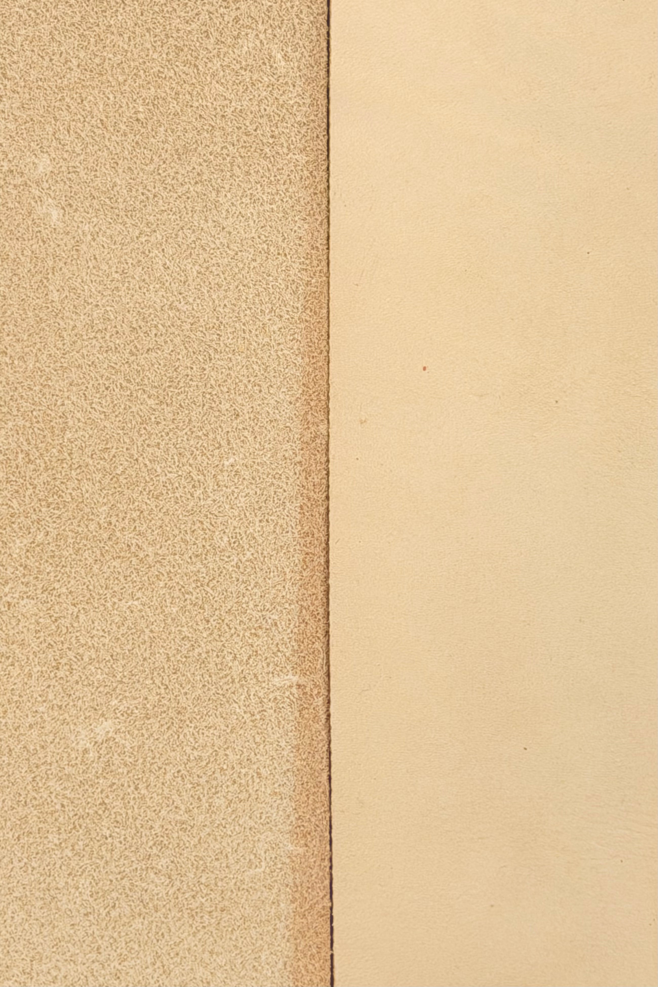 Schleifband 2x72" (50x1829mm)