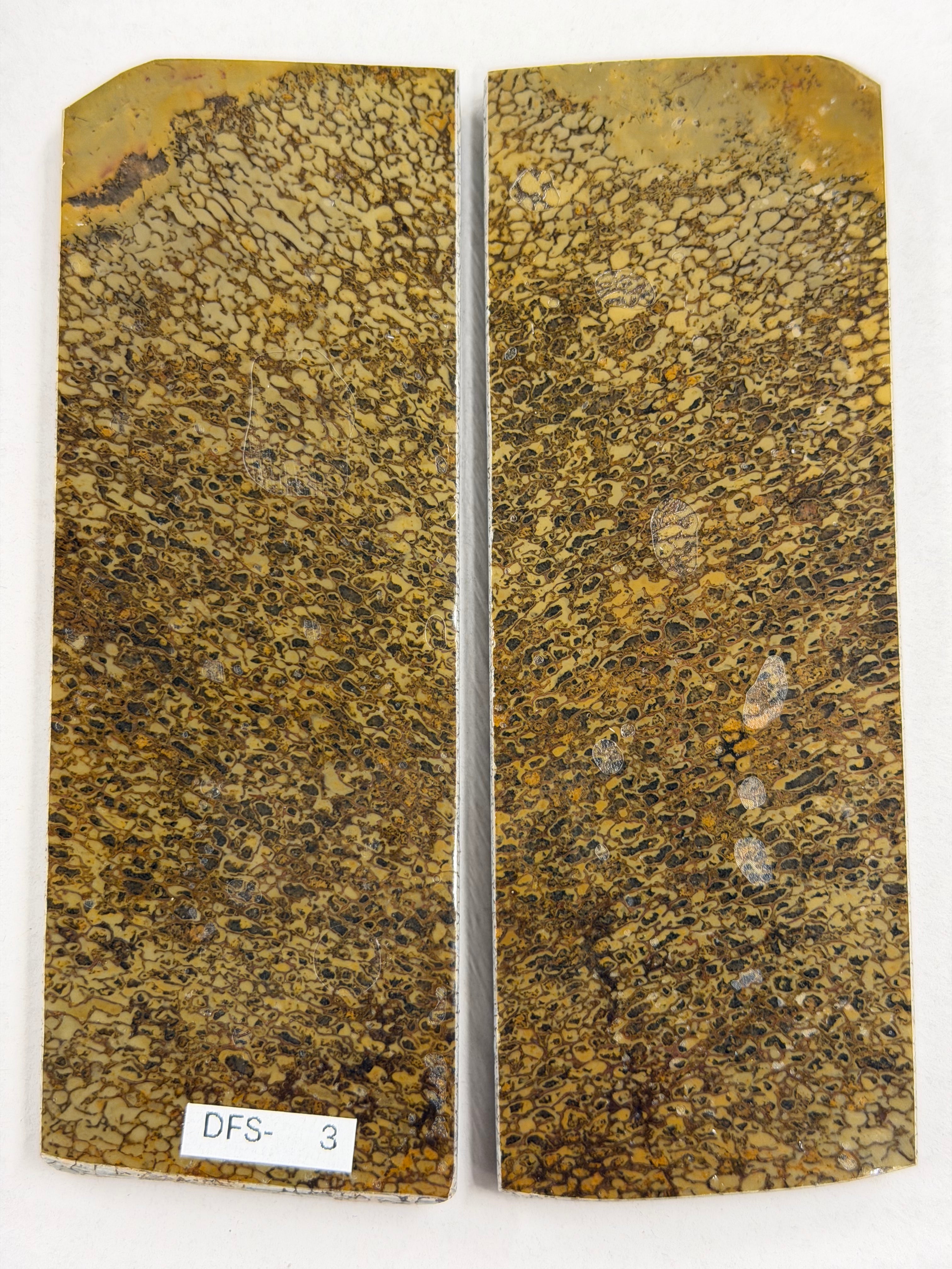 Dinosaurier-Fossil-Schaftplattenset DFS-3