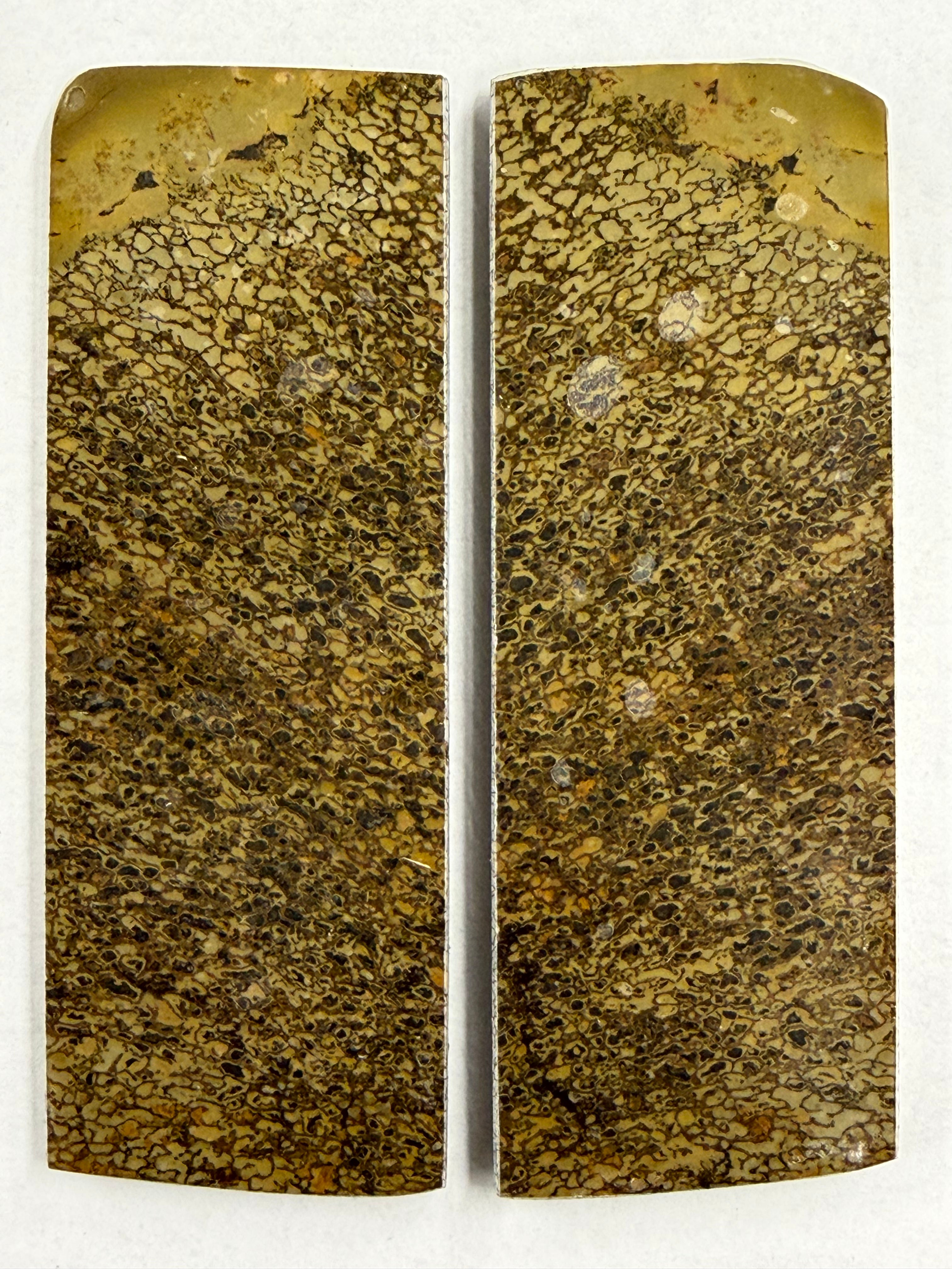 Dinosaurier-Fossil-Schaftplattenset DFS-3