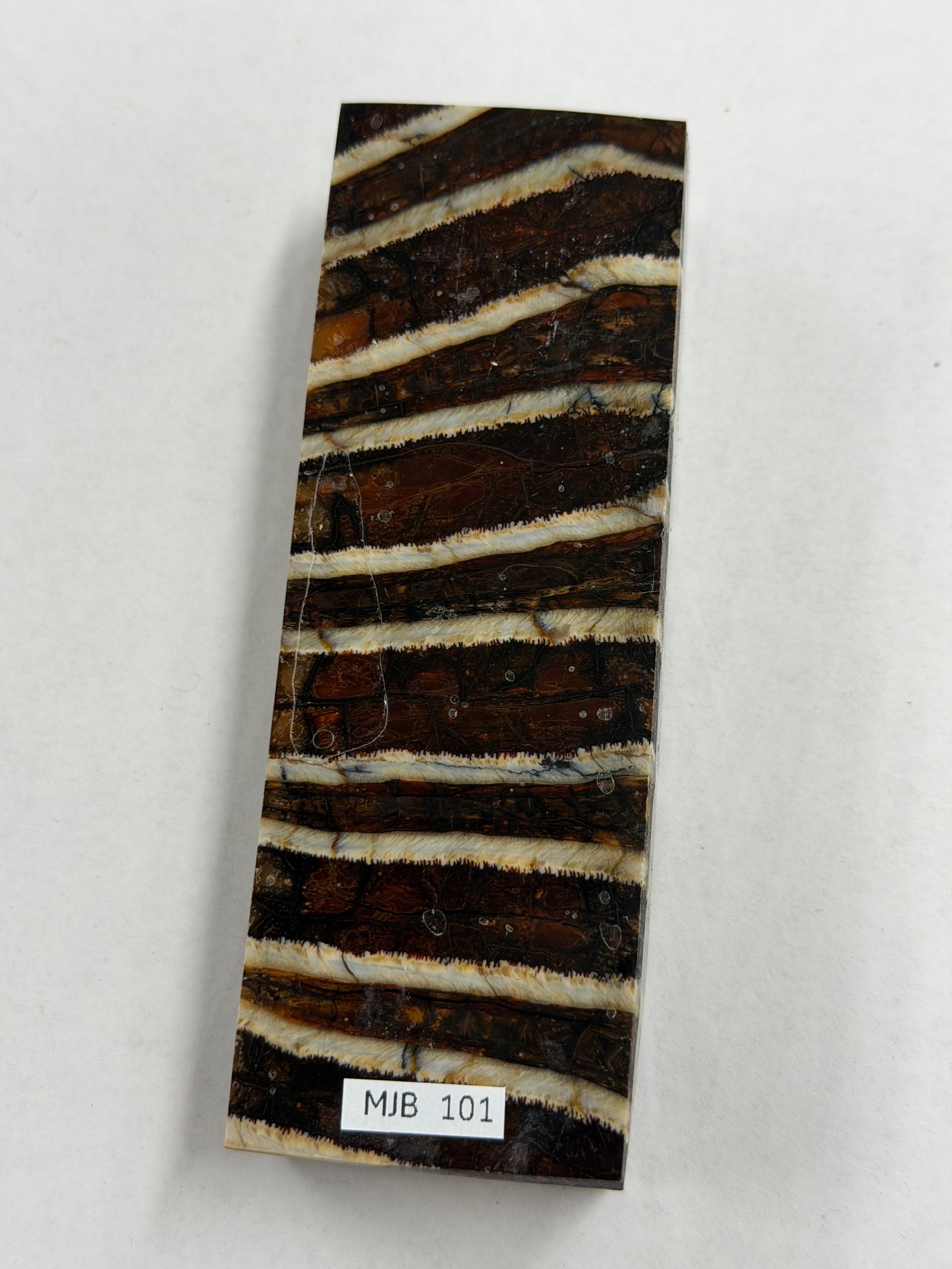 Mammutbackenzahn-Griffblock MJB 101