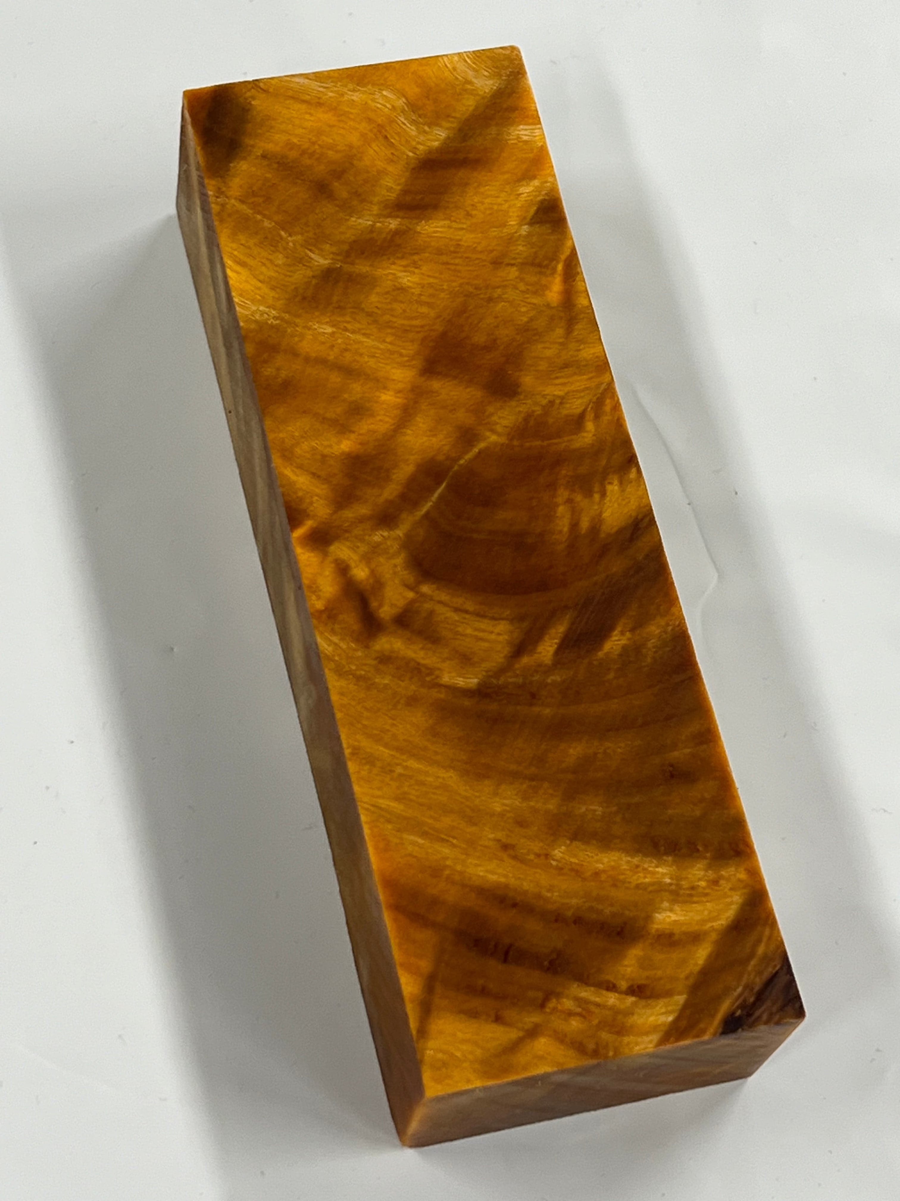Flammen-Pappel – Orange
