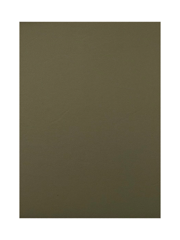 Armeegrünes Kydex