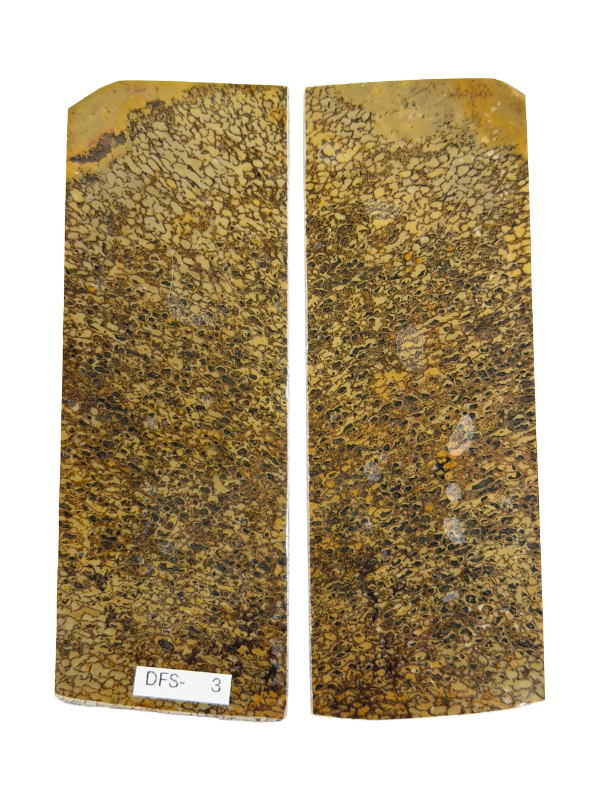 Dinosaurier-Fossil-Schaftplattenset DFS-3
