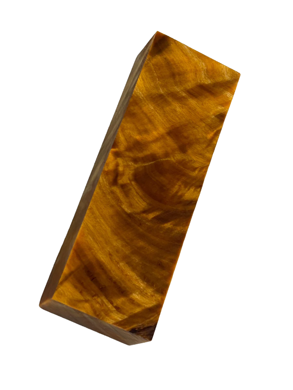 Flammen-Pappel – Orange