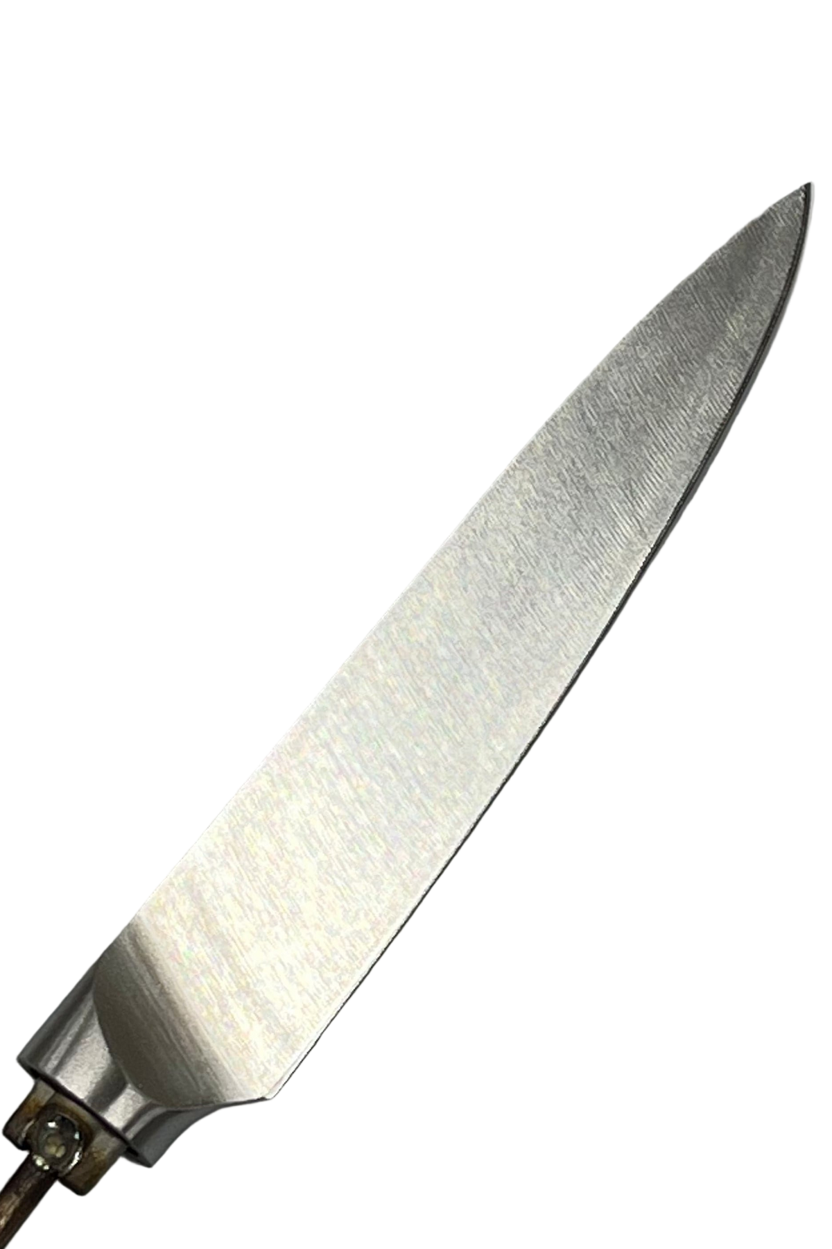 Obstmesser T - Rostfreies Küchenmesser 5"