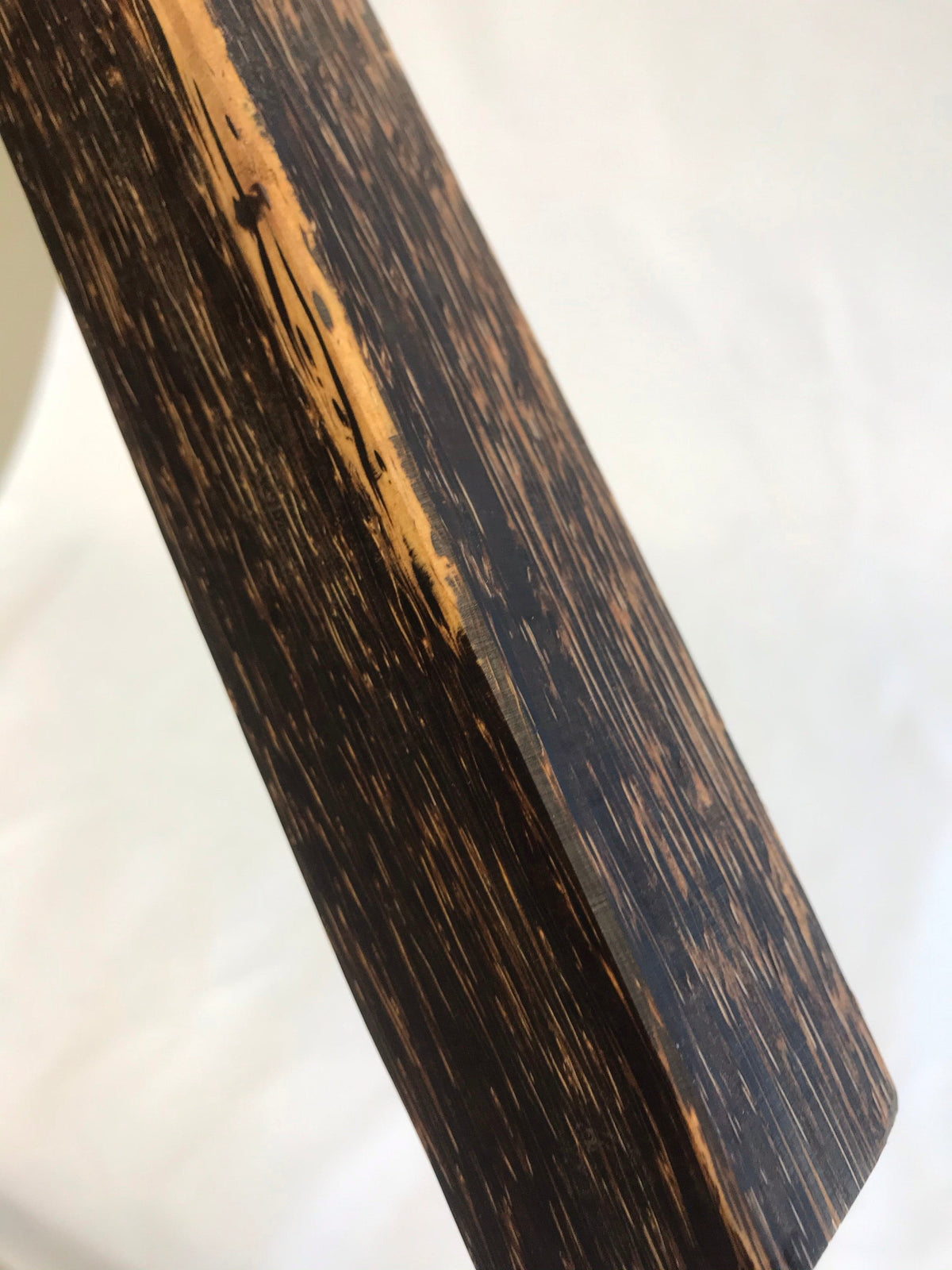 Schwarze Palme 45 cm Griffrohling