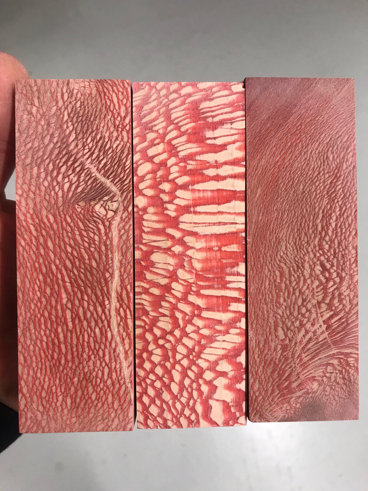 Platane - Rot