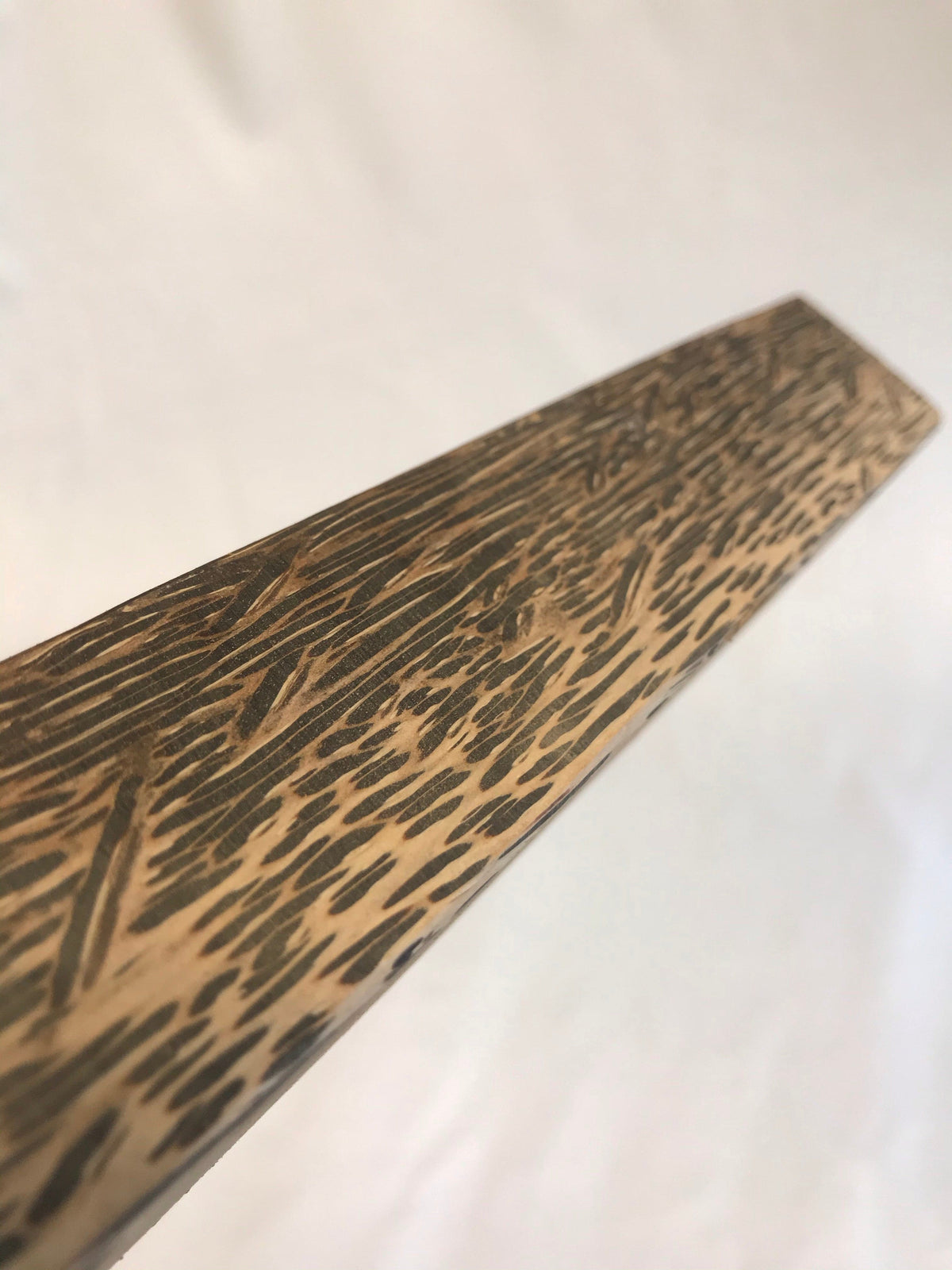 Schwarze Palme 45 cm Griffrohling