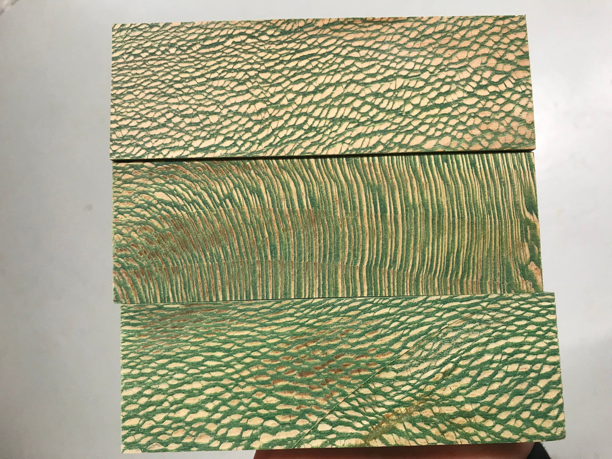 Platane - Grün