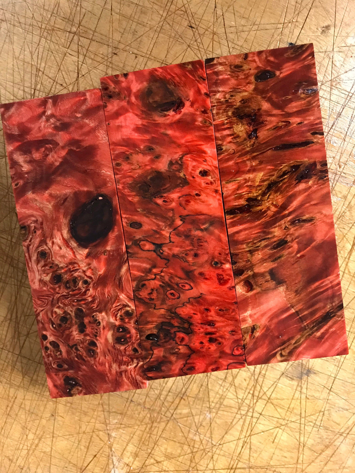 Pappelknoten - Rot