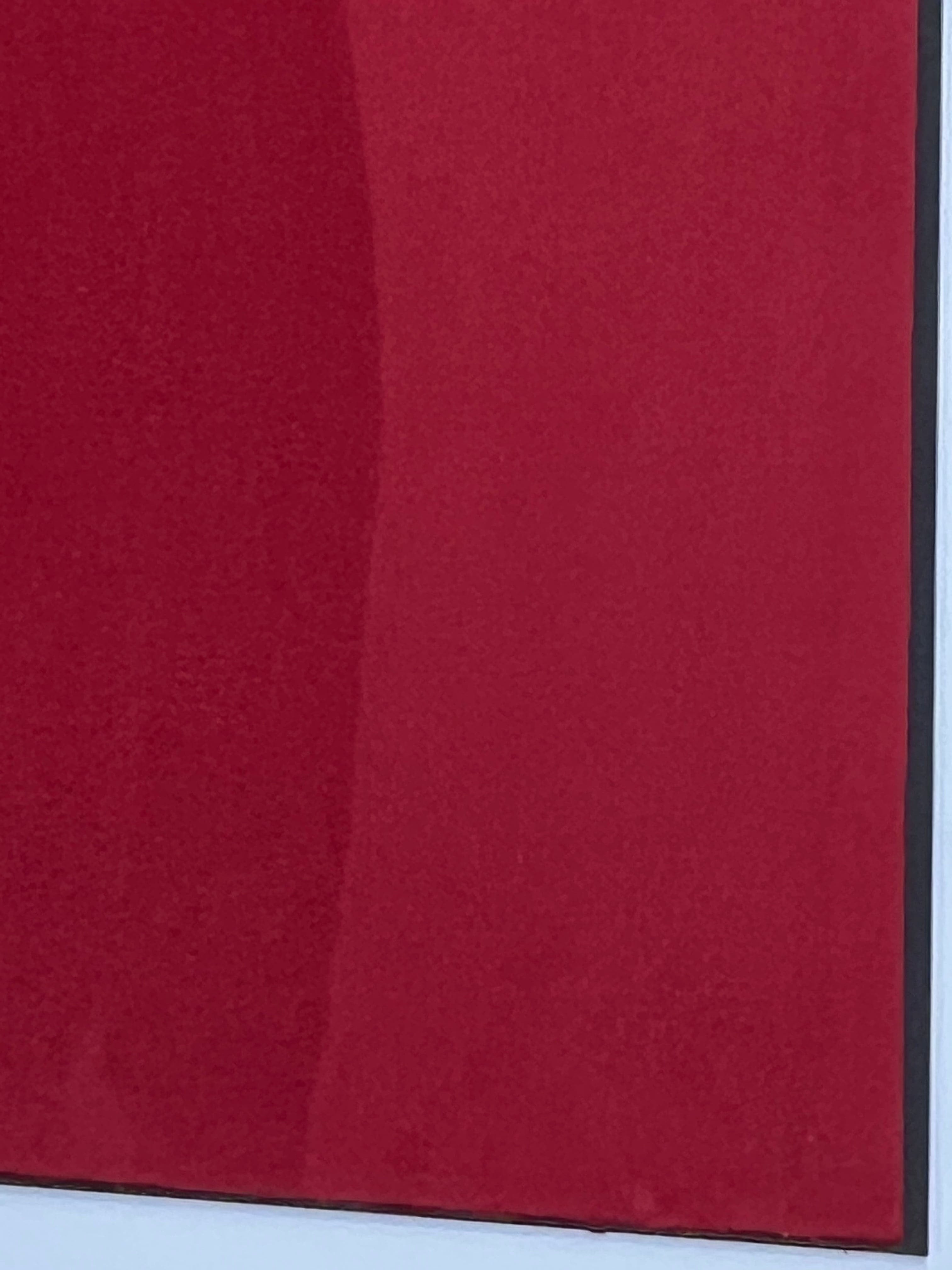 Kydex Wildleder Rot