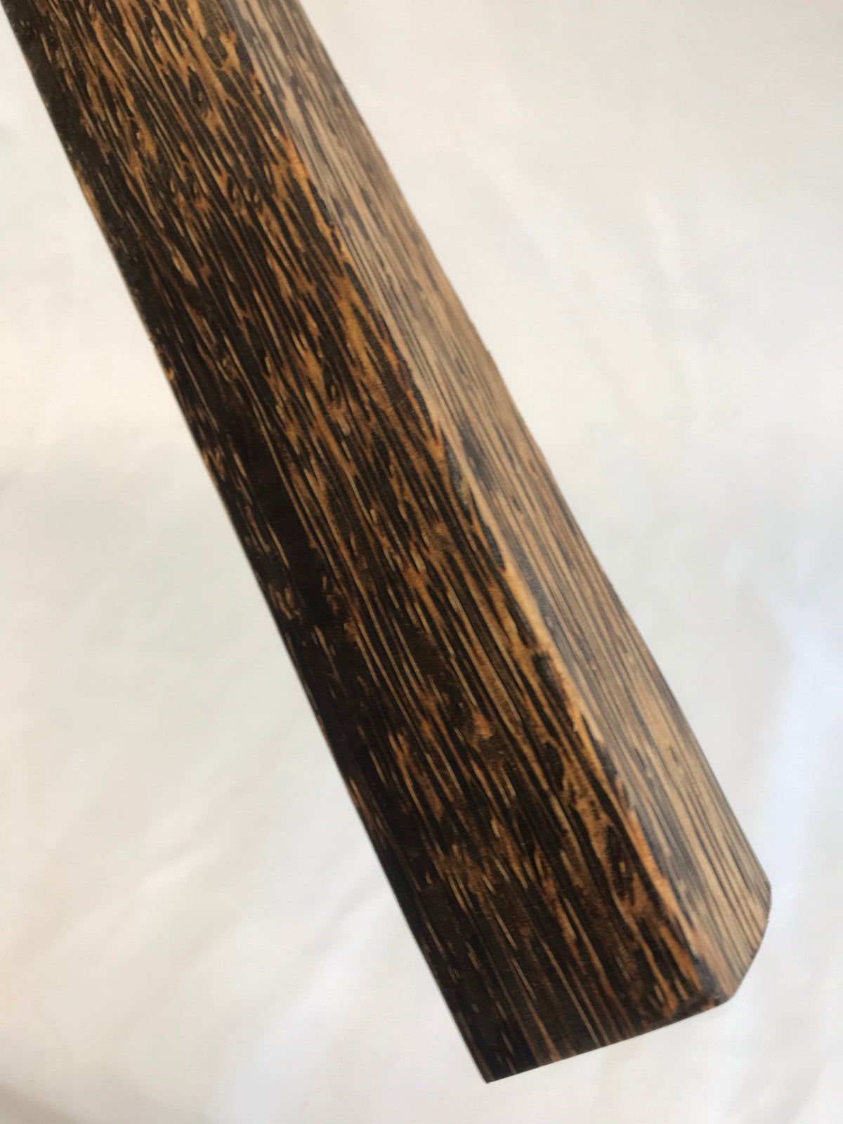 Schwarze Palme 45 cm Griffrohling
