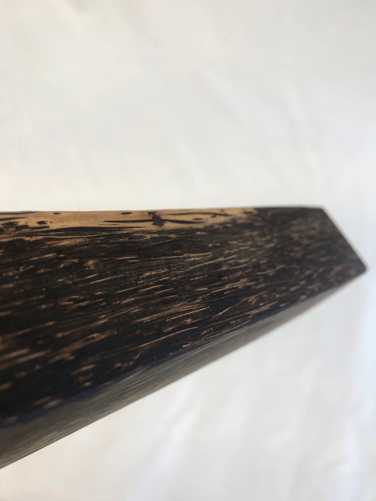 Schwarze Palme 45 cm Griffrohling