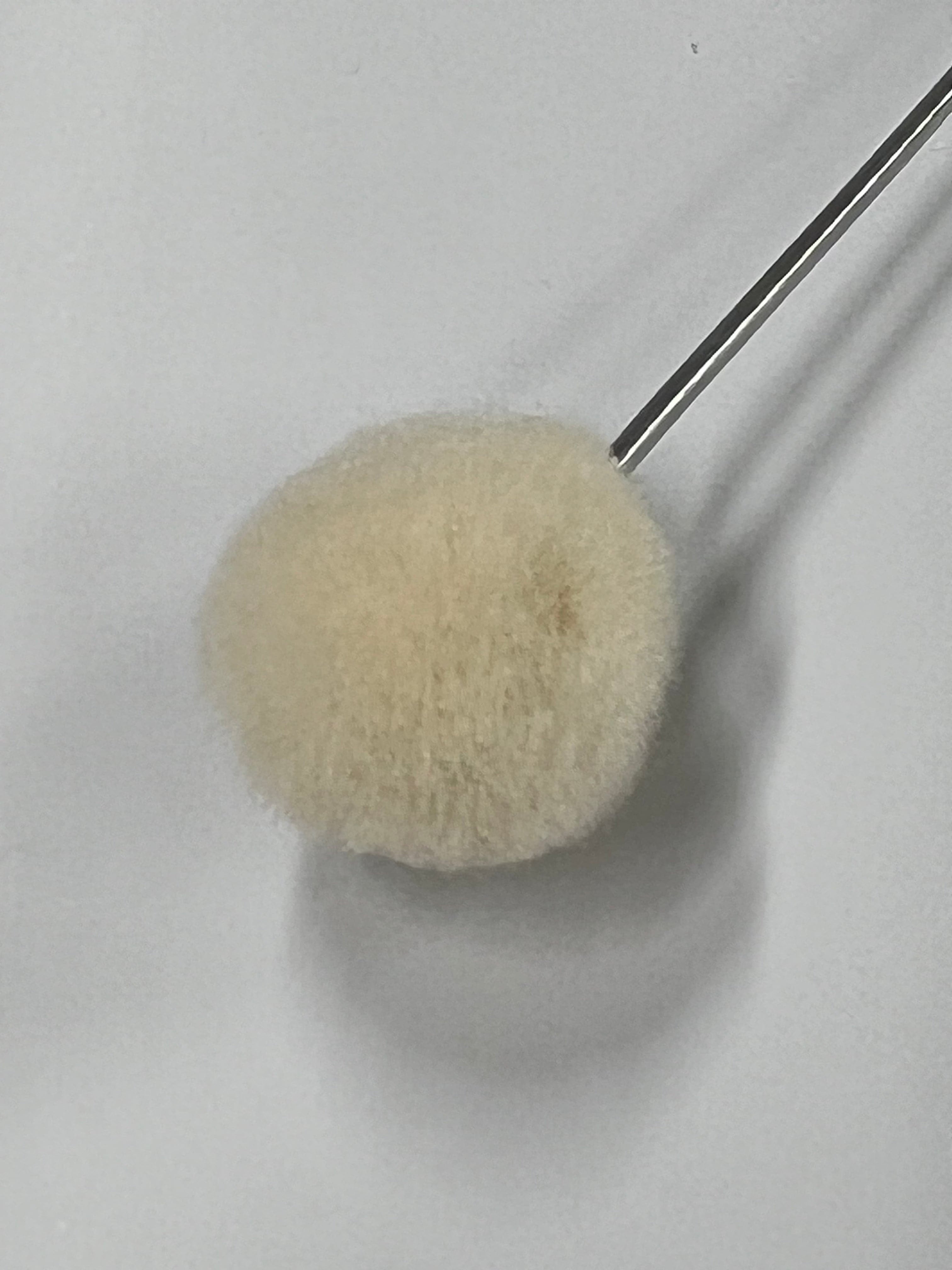 Wollpinsel 20 mm zum Färben von Leder (10er-Pack)