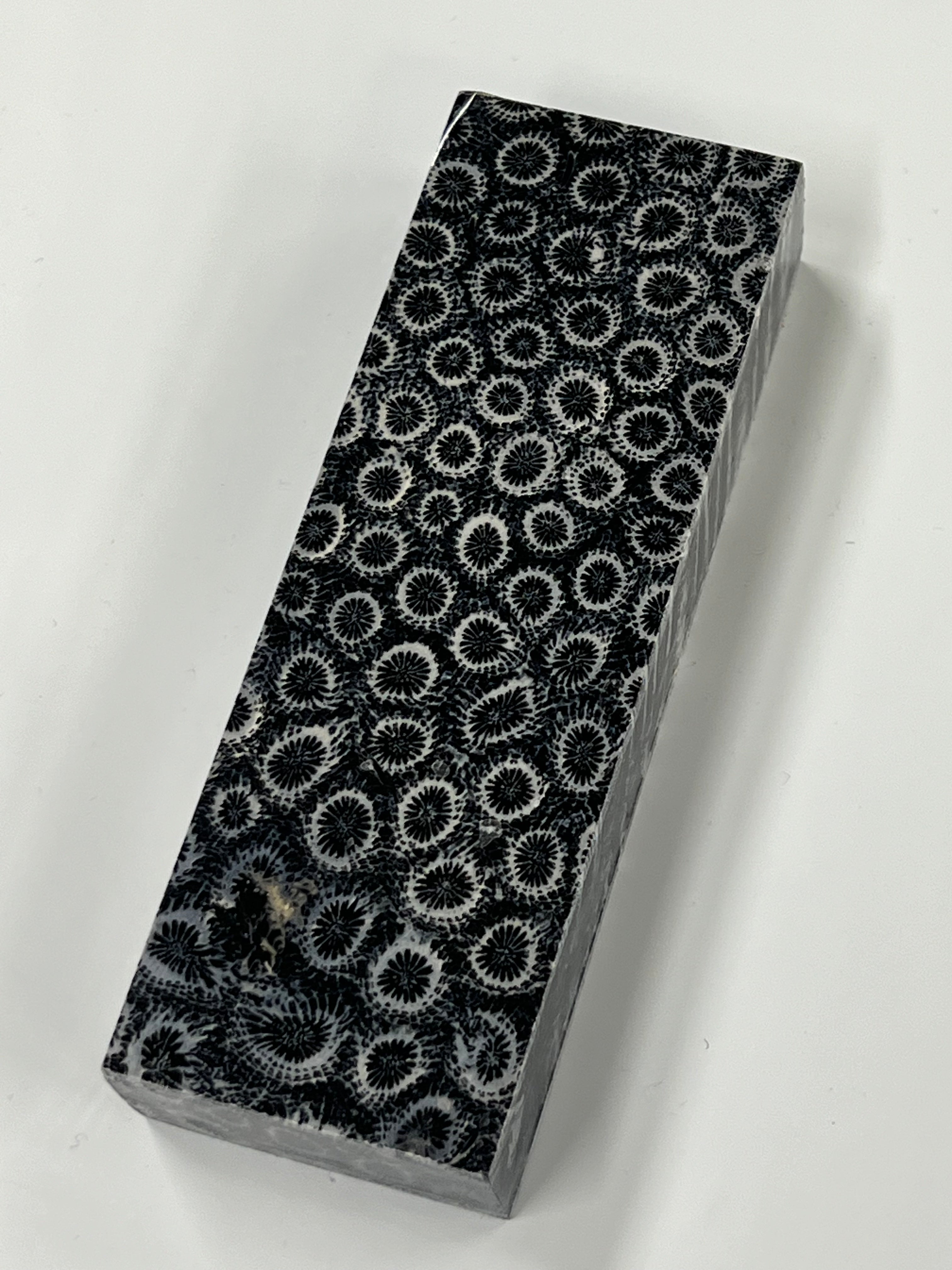 Fossiles Korallen-Griffstück K4 (schwarz)