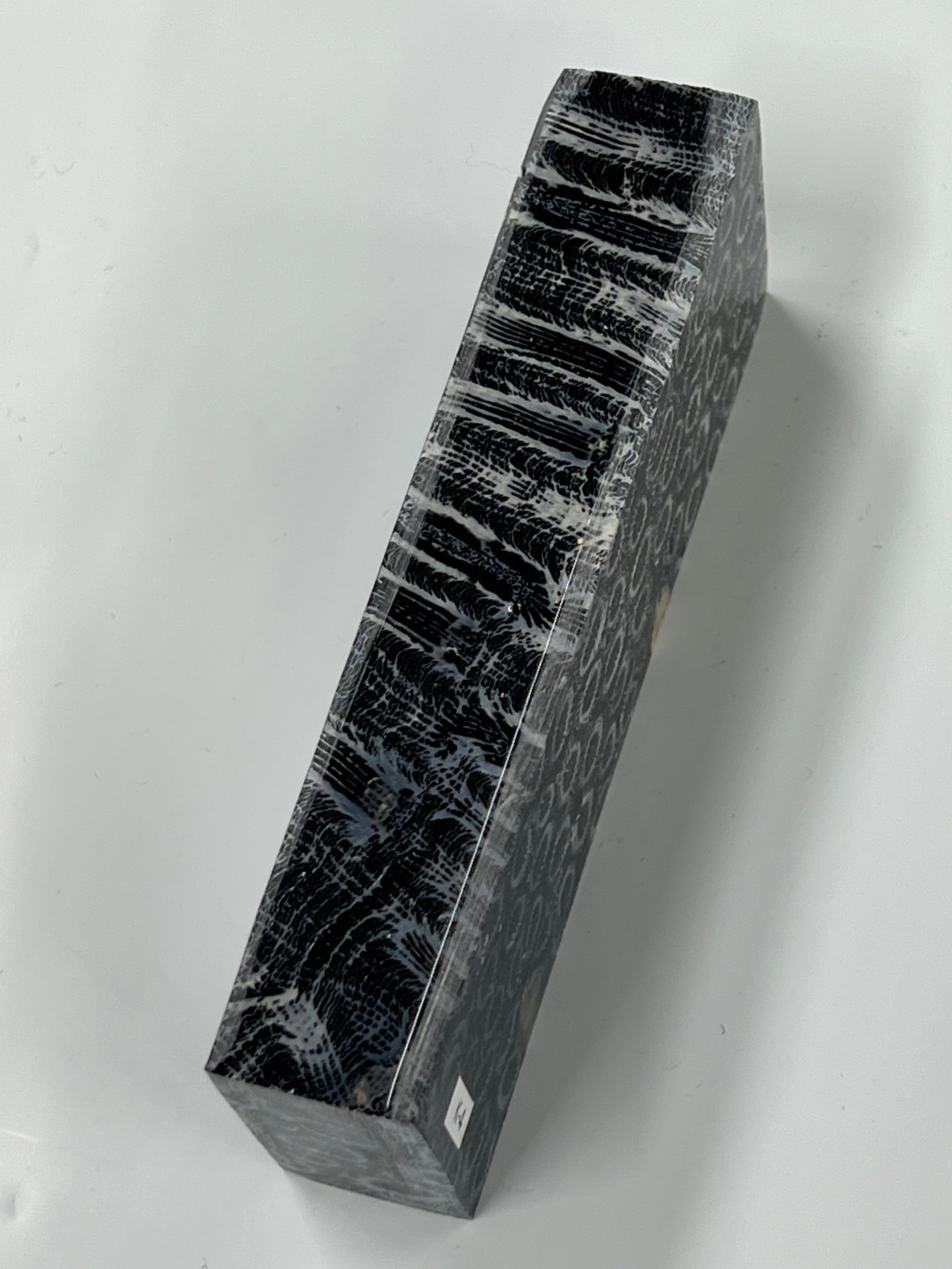 Fossiles Korallen-Griffstück K4 (schwarz)