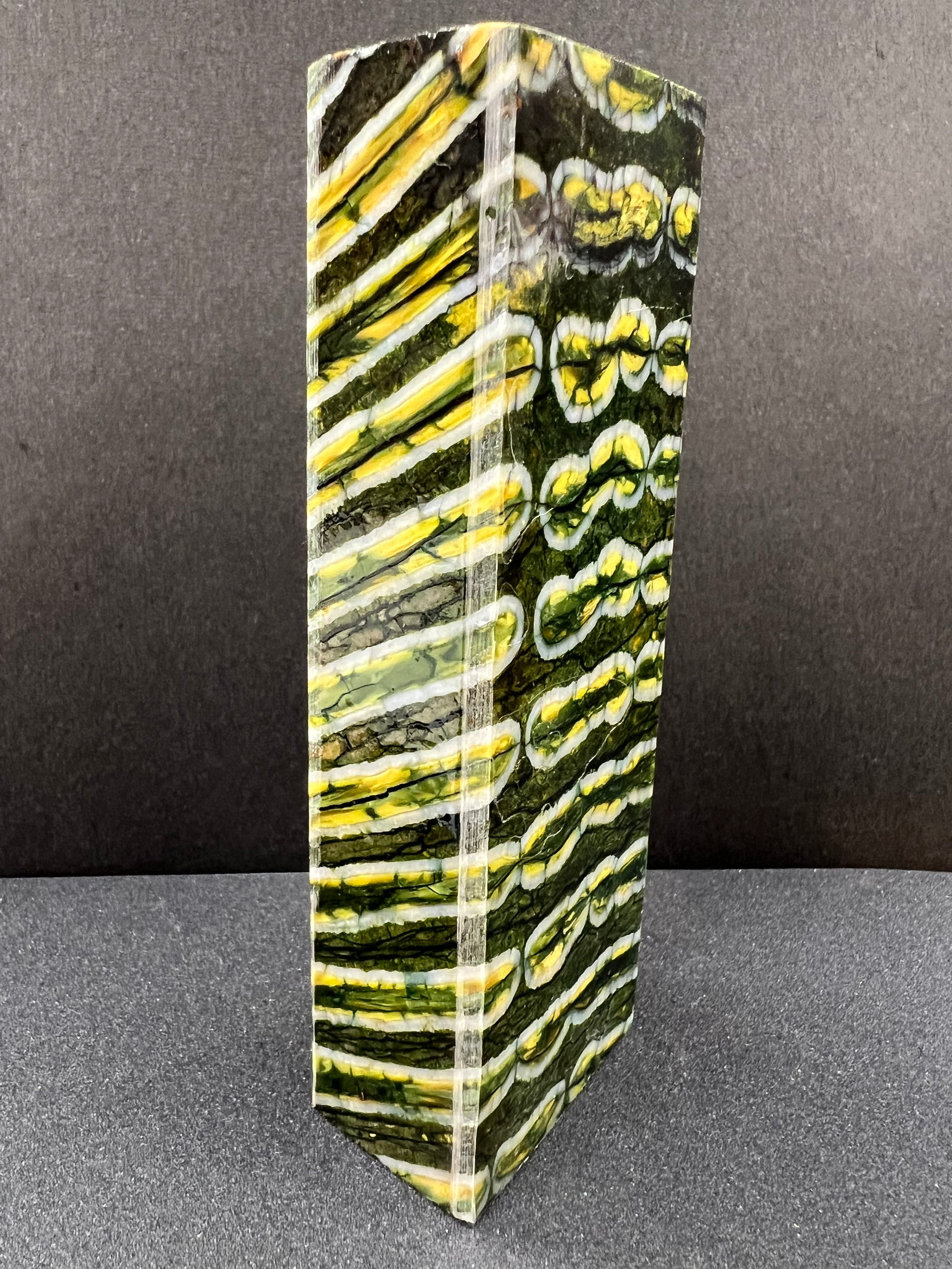 Mammutbackenzahn-Schaftrohling M243 (grün 17)