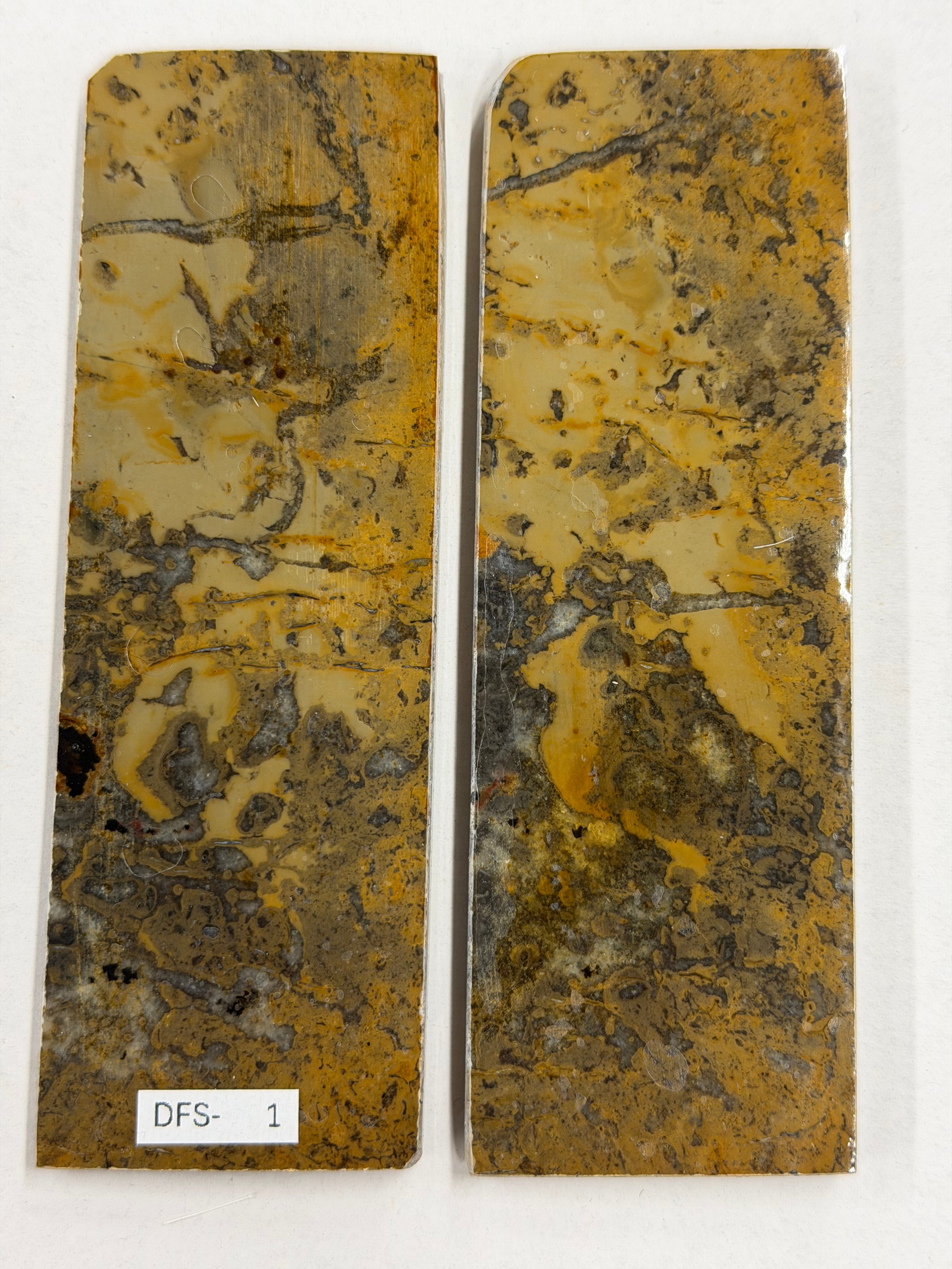 Dinosaur-Fossil-Schaftplattenset DFS-1