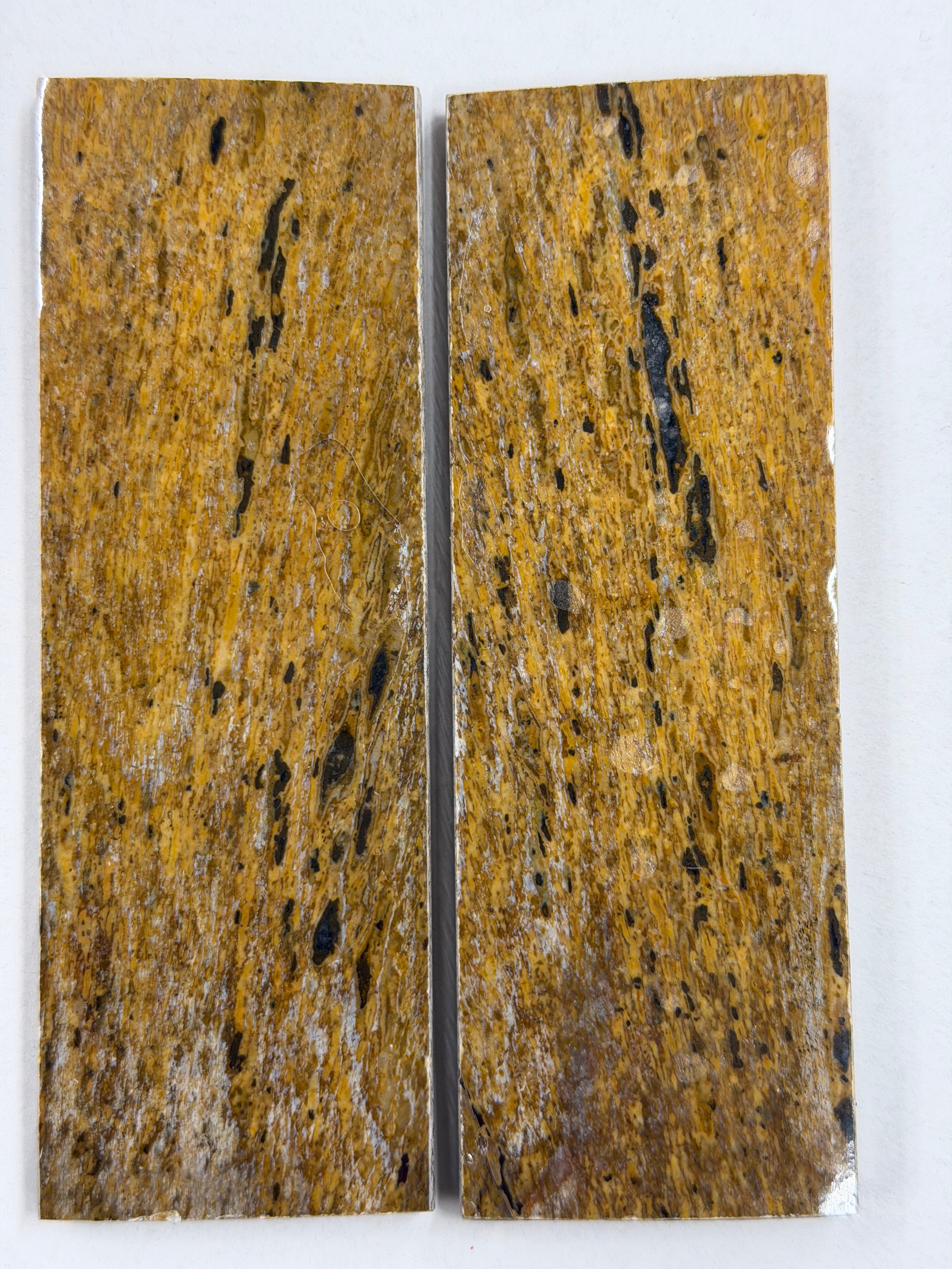 Dinosaur-Fossil-Schaftplattenset DFS-2