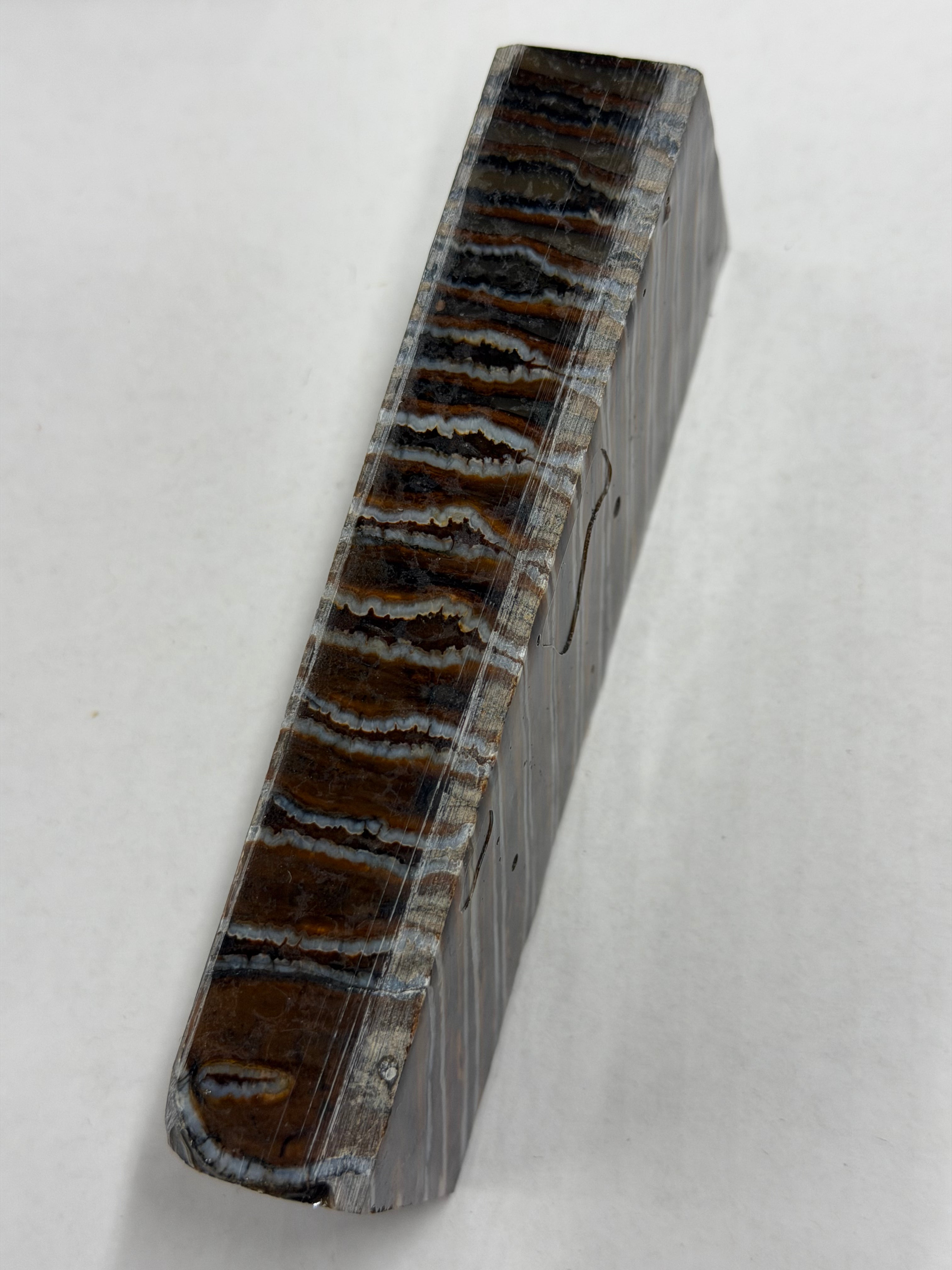 Mammutbackenzahn-Griffblock MJB 103