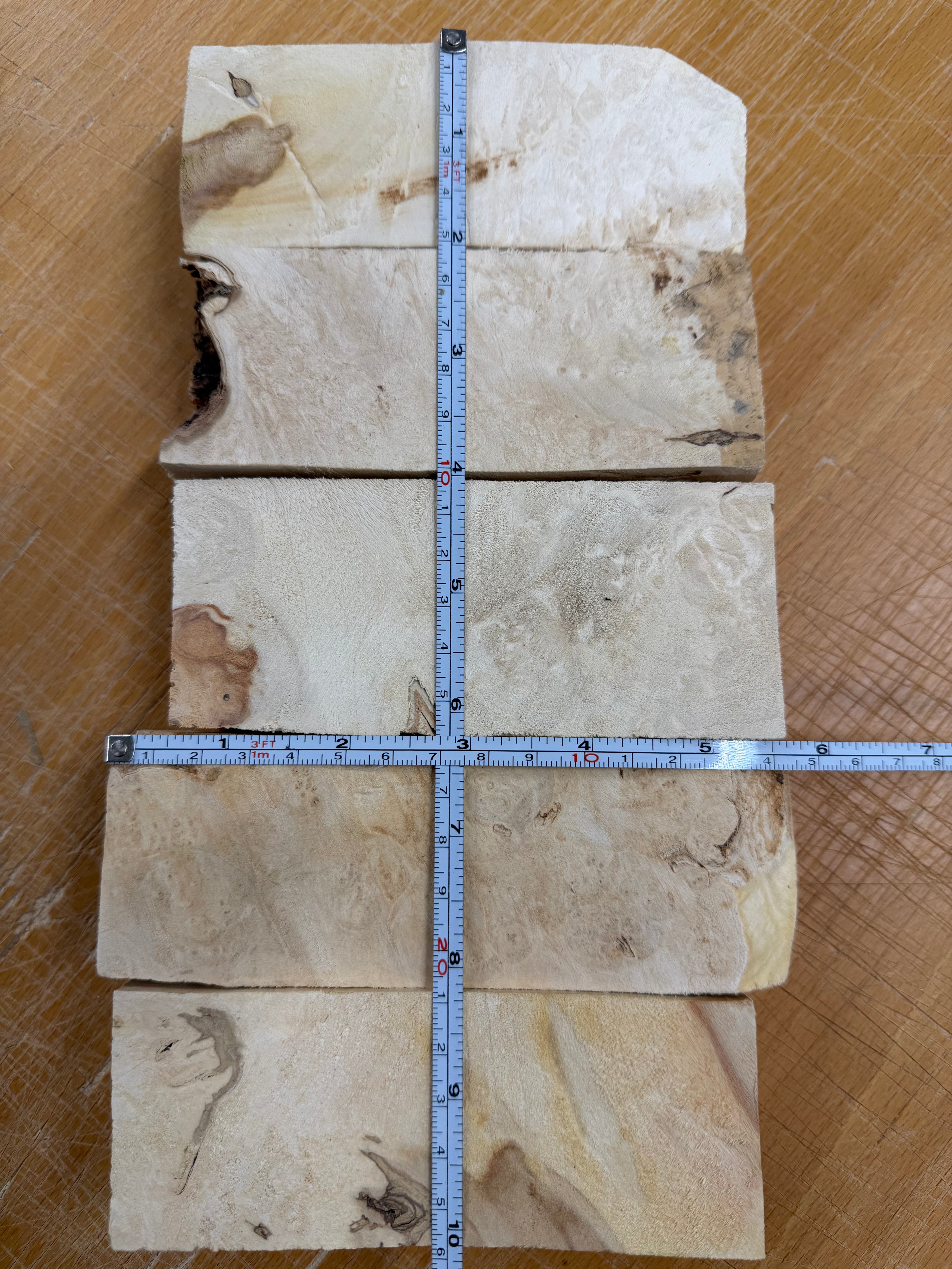 Box Elder Griffelrohling 5er-Pack - BEP5-104