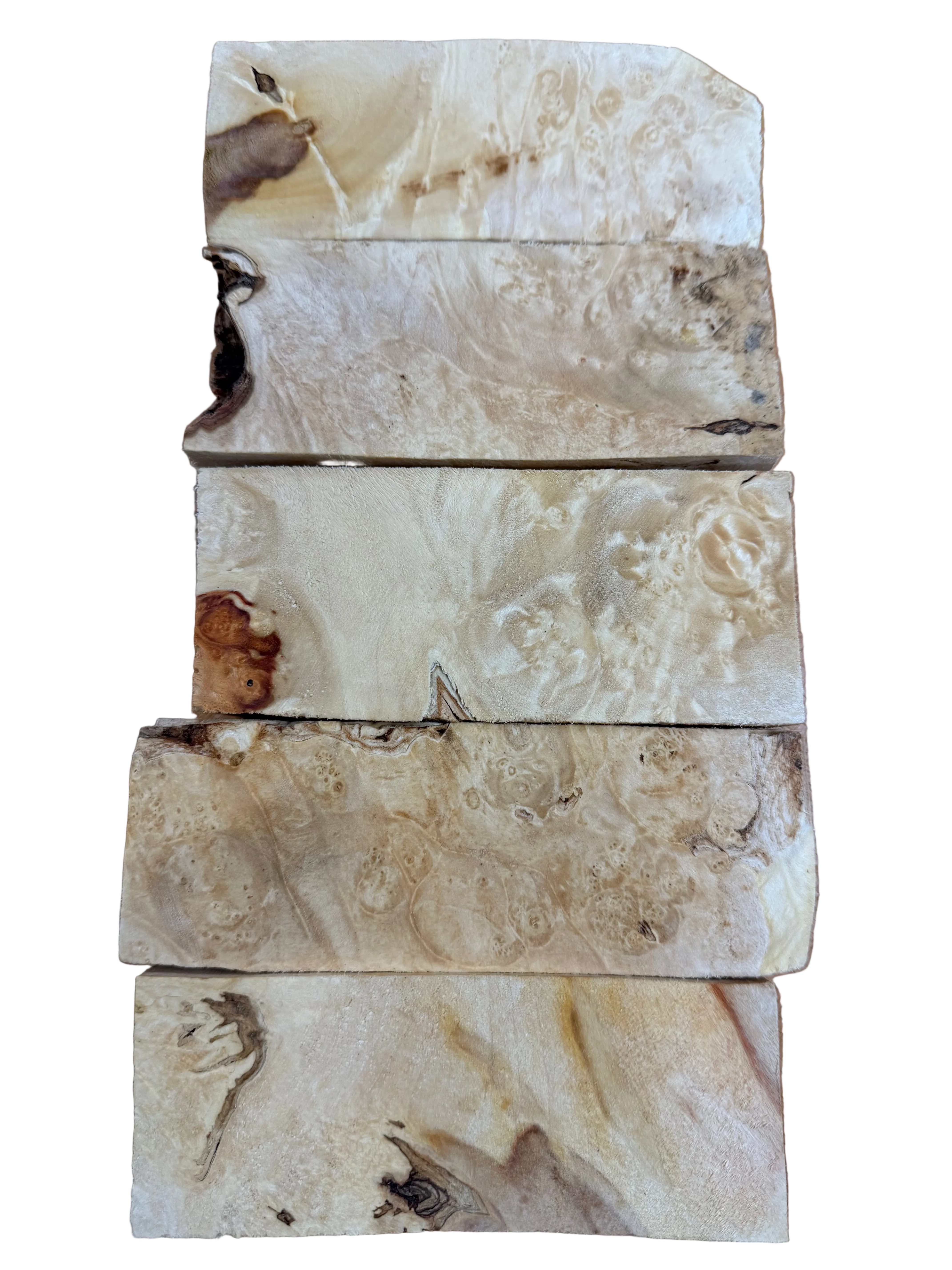 Box Elder Griffelrohling 5er-Pack - BEP5-104