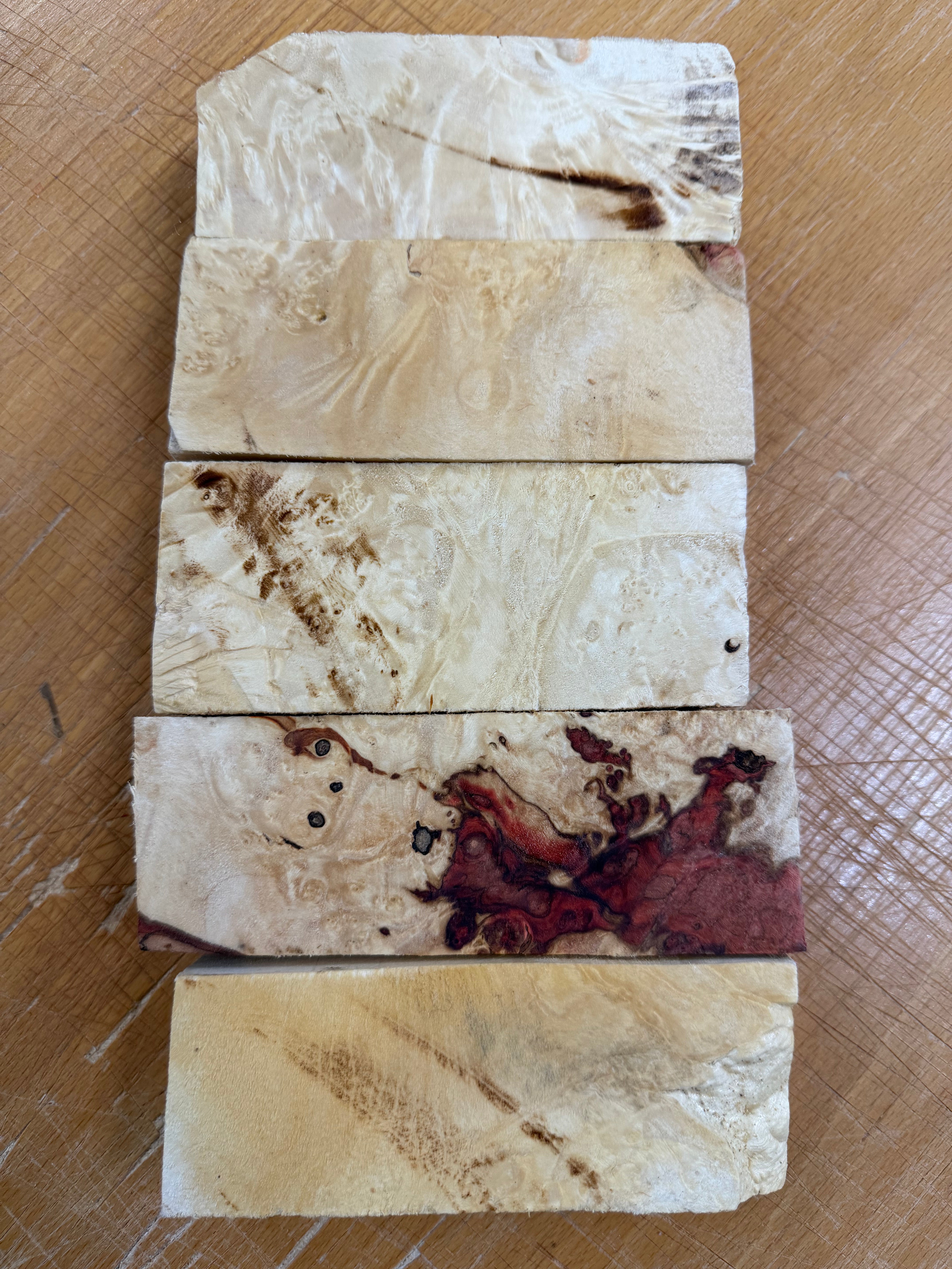 Box Elder Griffelrohling 5er-Pack - BEP5-104