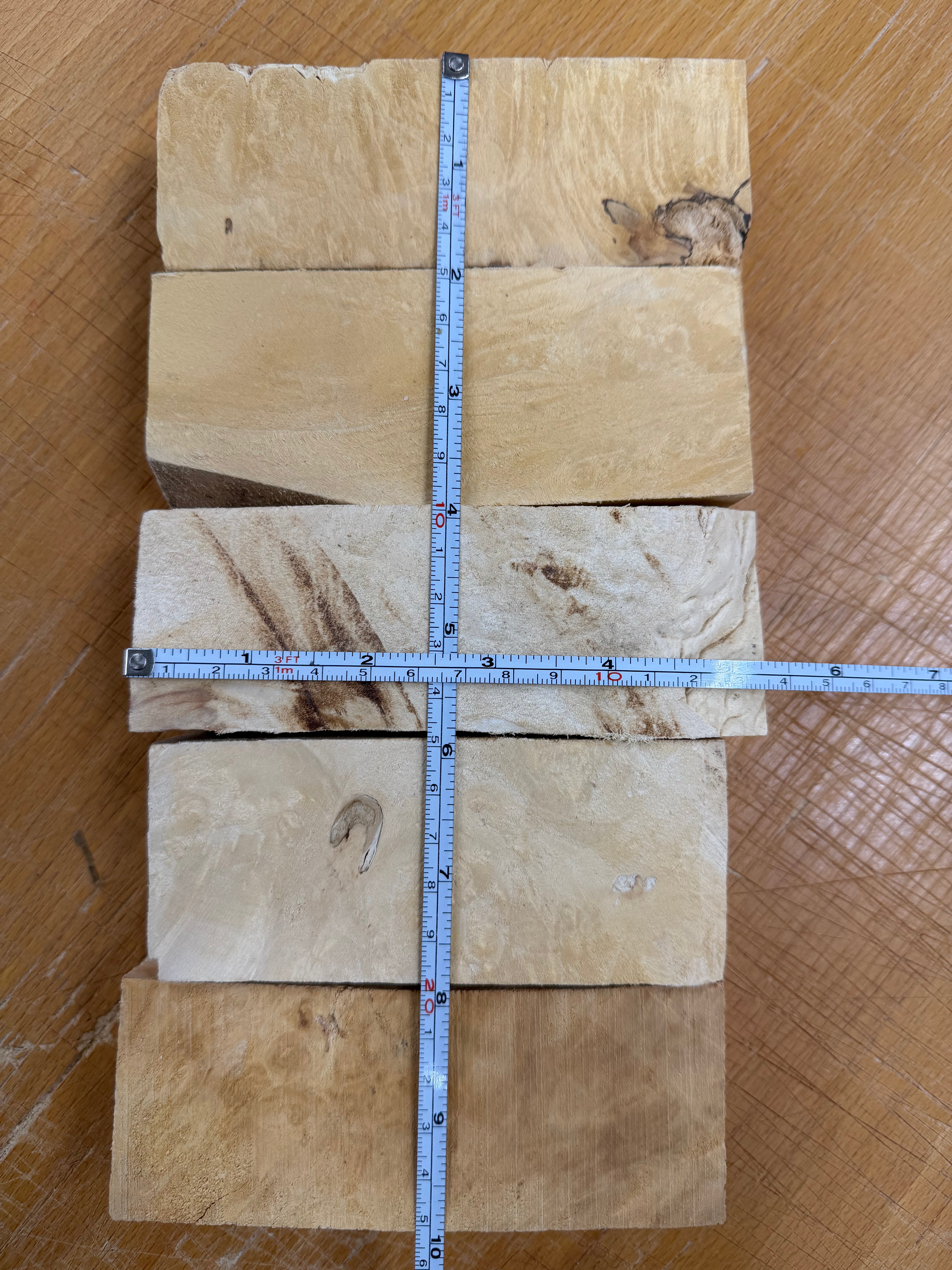 Box Elder Griffelrohling 5er-Pack- BEP5-105