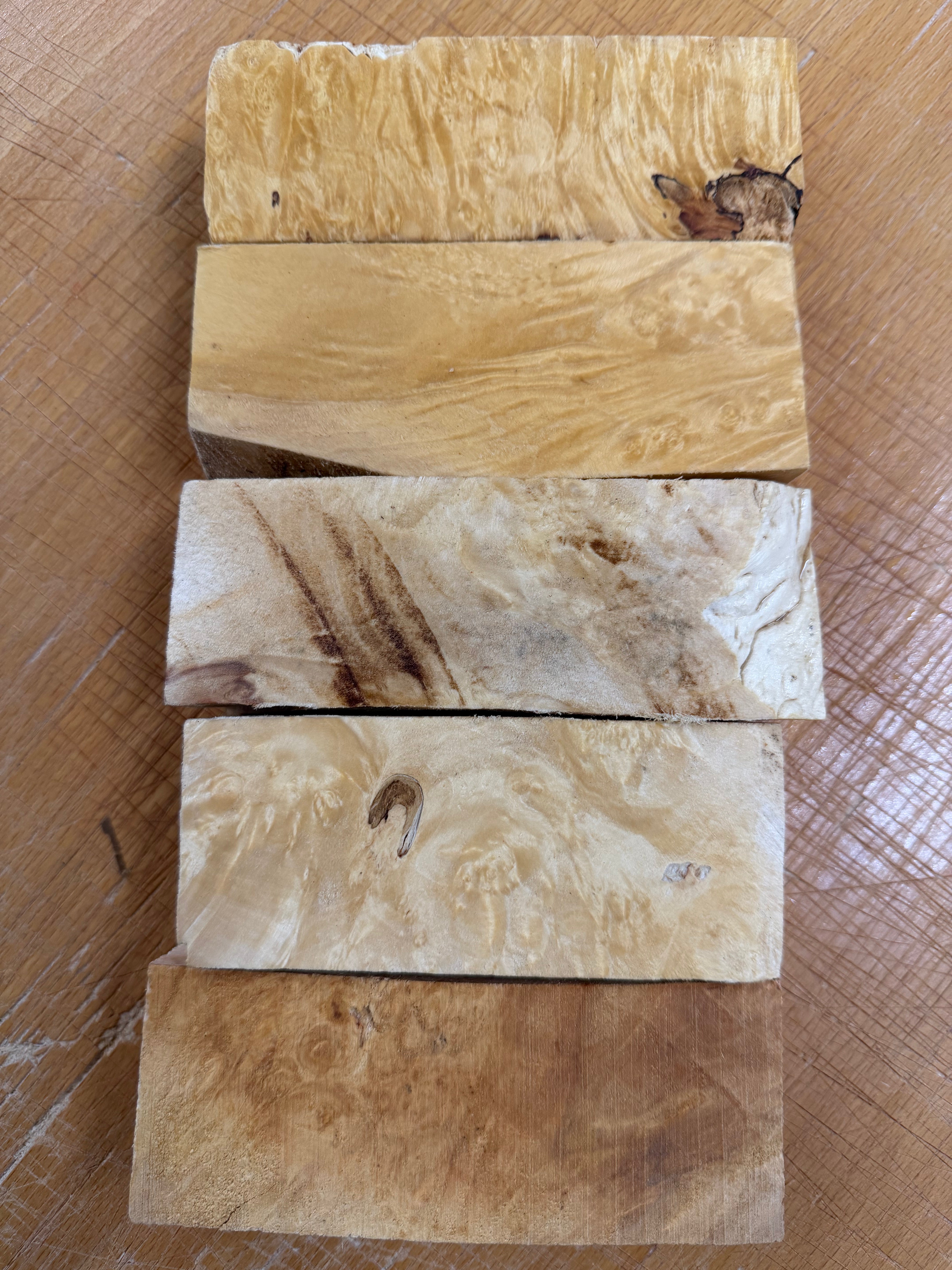 Box Elder Griffelrohling 5er-Pack- BEP5-105