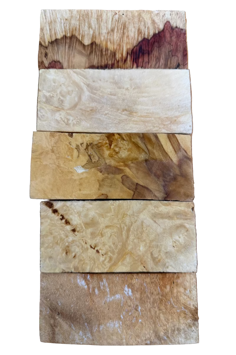 Box Elder Griffelrohling 5er-Pack- BEP5-105