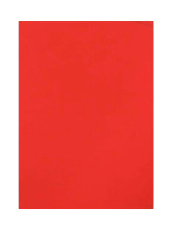 Rotes Kydex