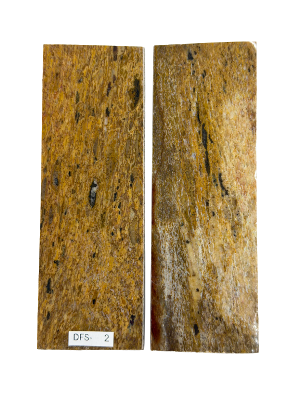 Dinosaur-Fossil-Schaftplattenset DFS-2