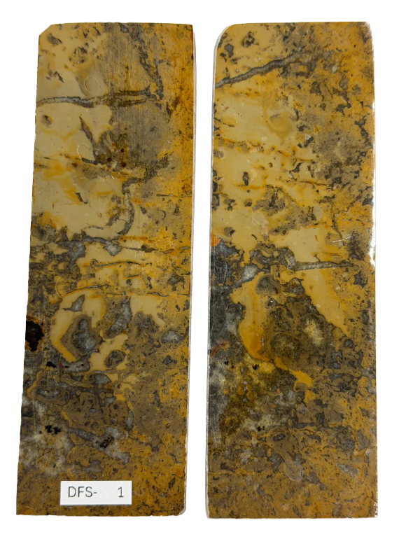 Dinosaur-Fossil-Schaftplattenset DFS-1