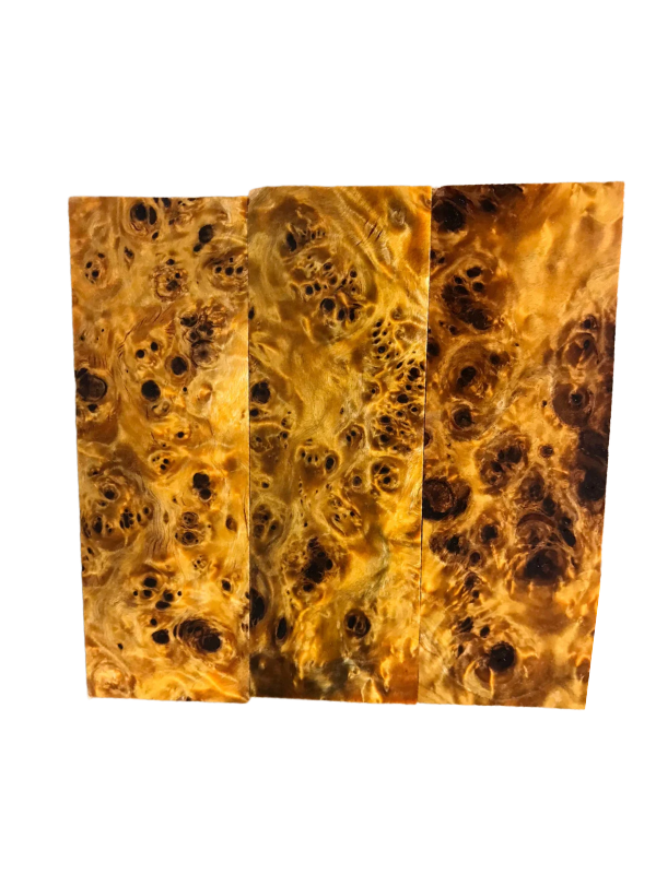 Pappelknoten - Orange