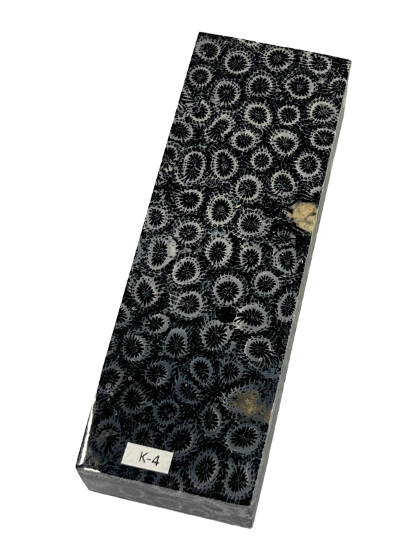 Fossiles Korallen-Griffstück K4 (schwarz)
