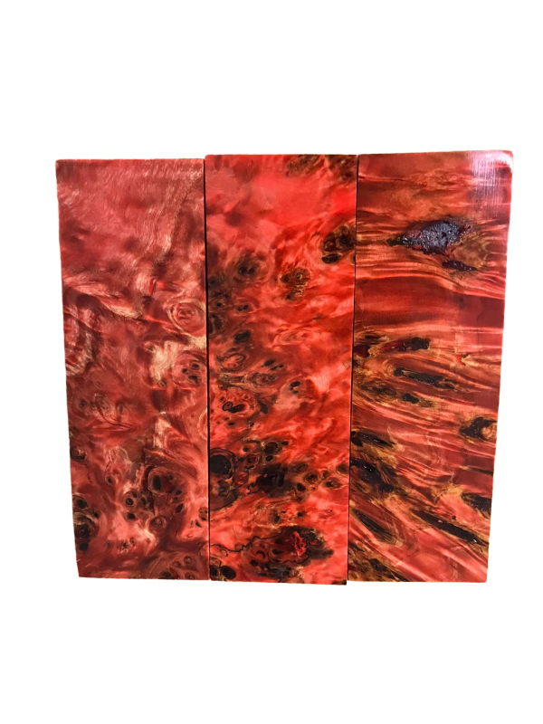 Pappelknoten - Rot