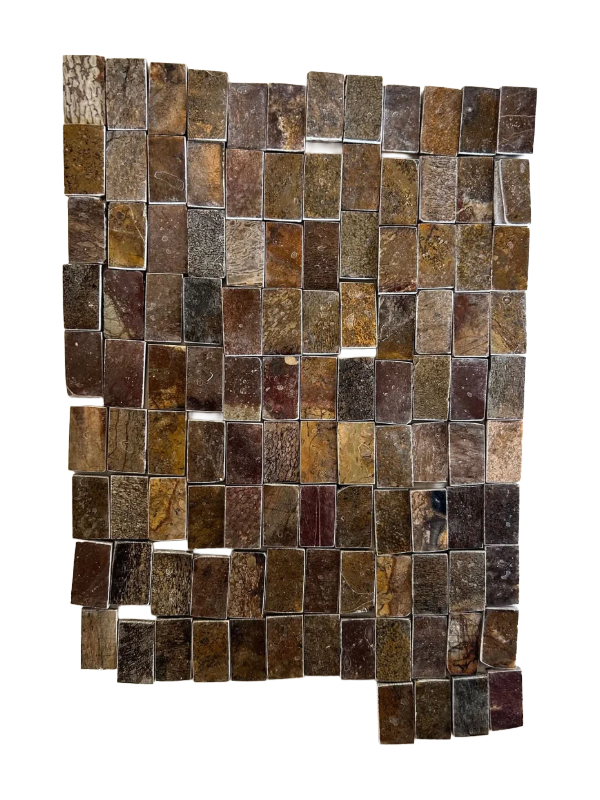 Dinosaurierfossil Holkbit 20x35x20mm