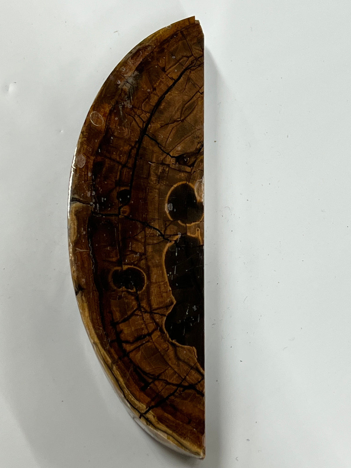 Mammutelfenbein-Rohling M132