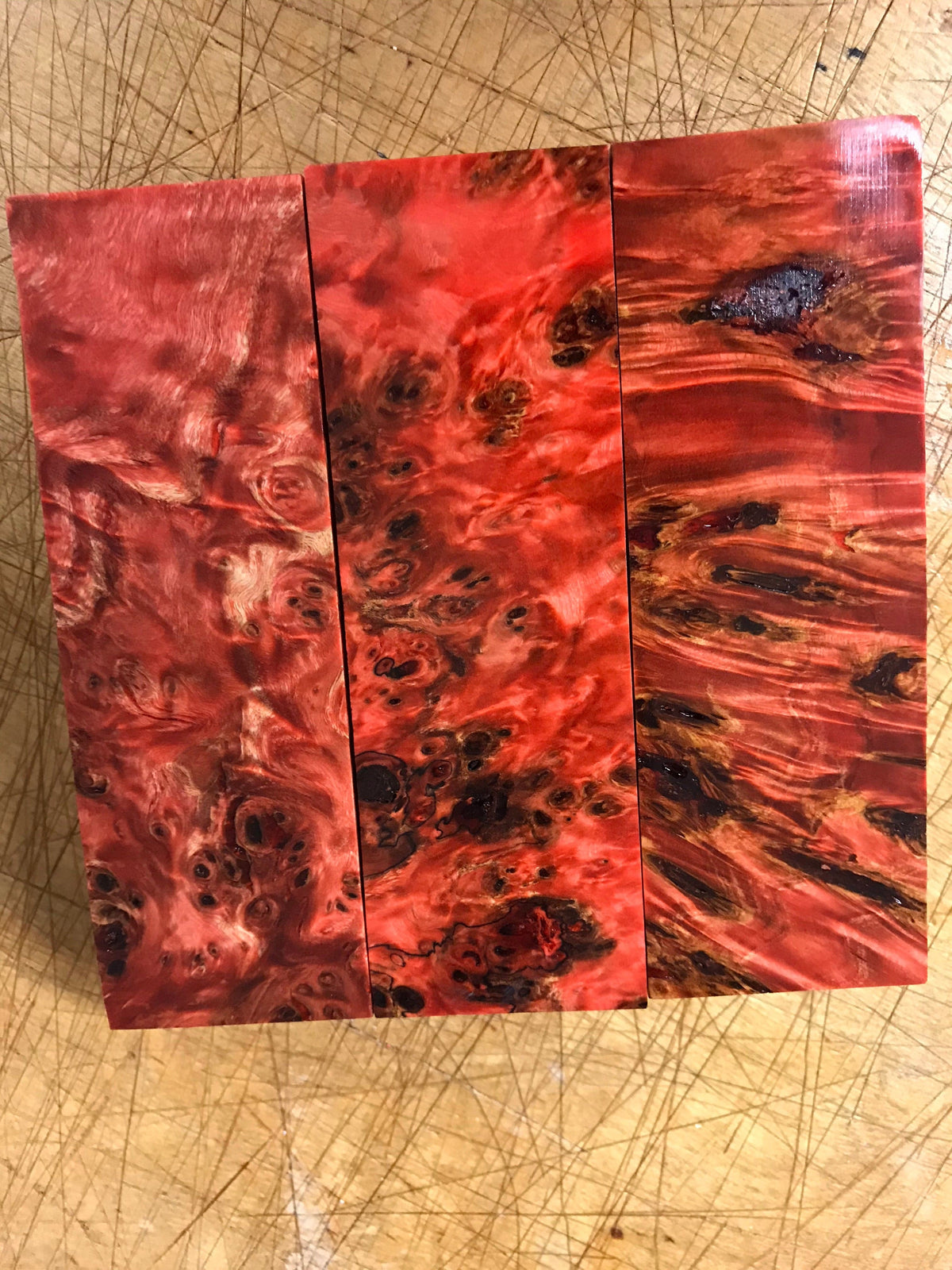 Pappelknoten - Rot