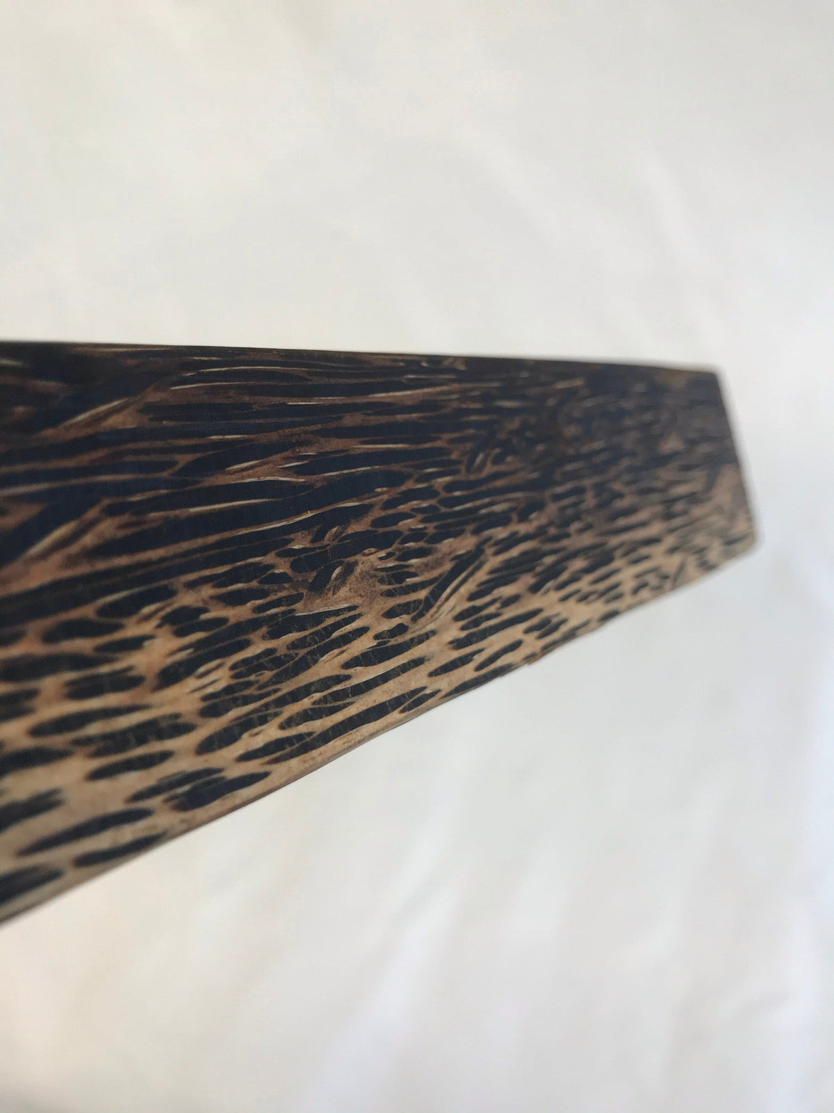 Schwarze Palme 45 cm Griffrohling