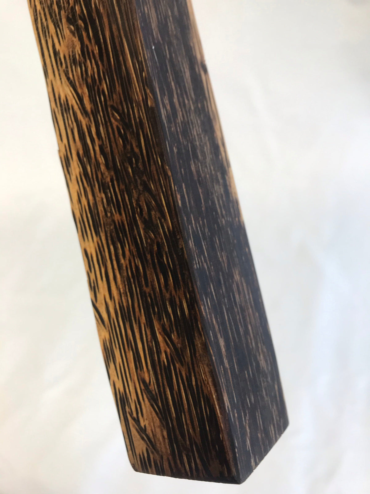 Schwarze Palme 45 cm Griffrohling
