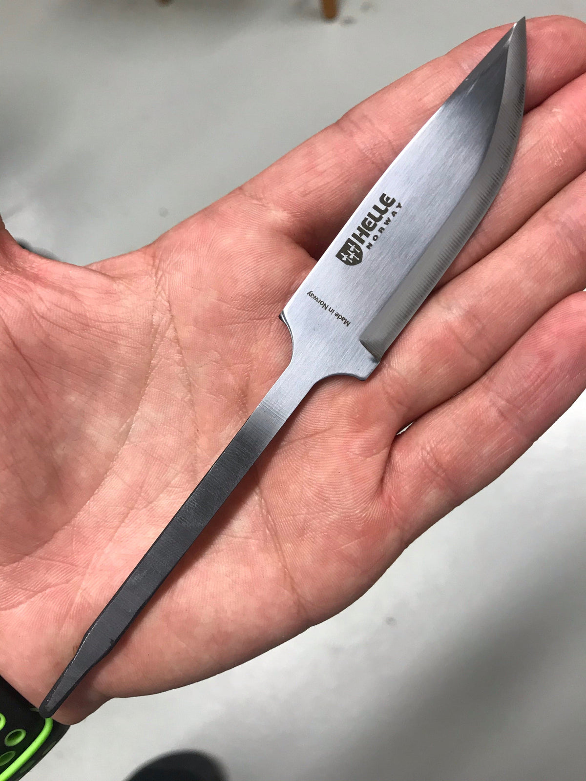 Helle Fjording / Sigmund (Blatt 50)