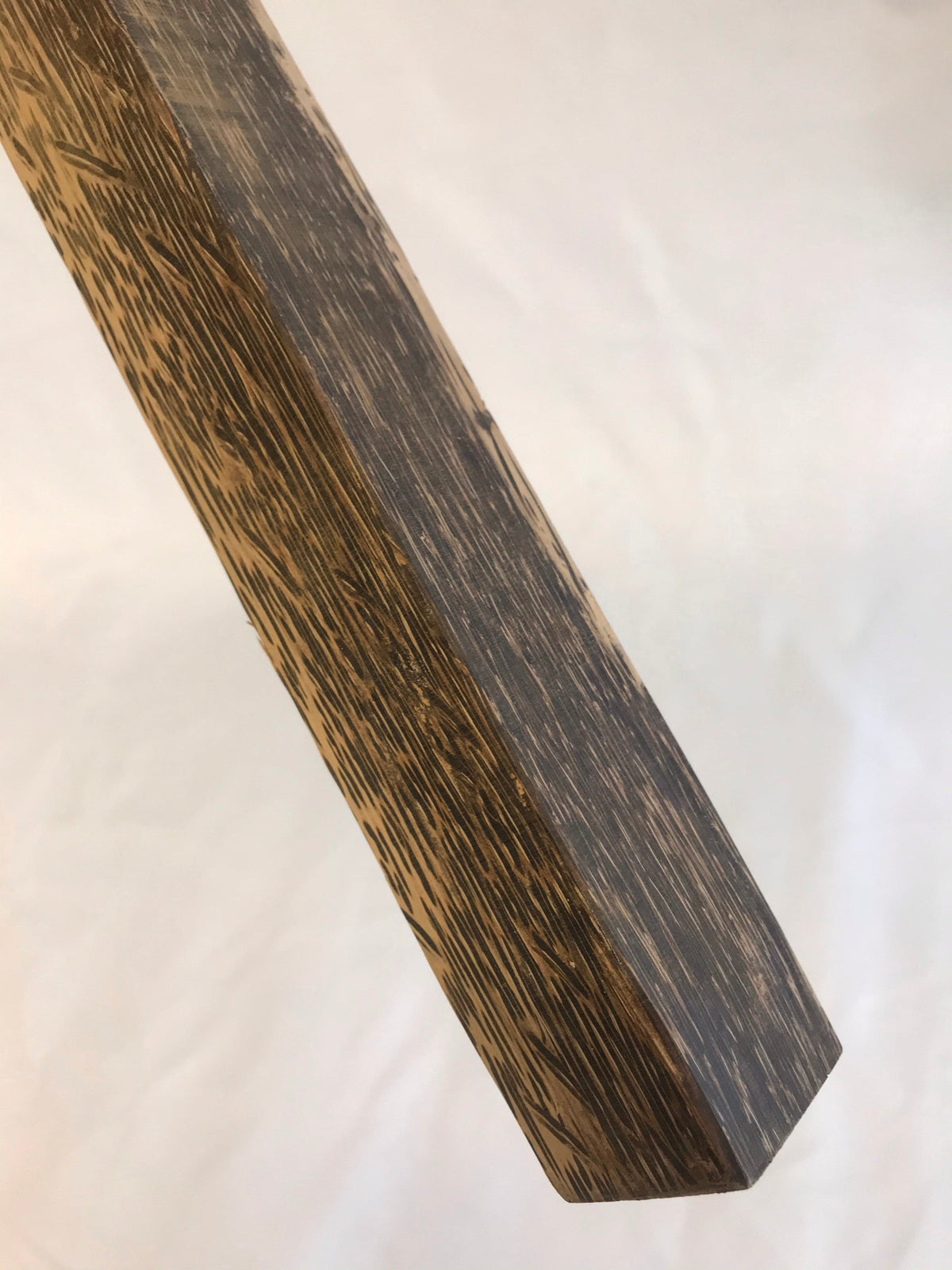 Schwarze Palme 45 cm Griffrohling